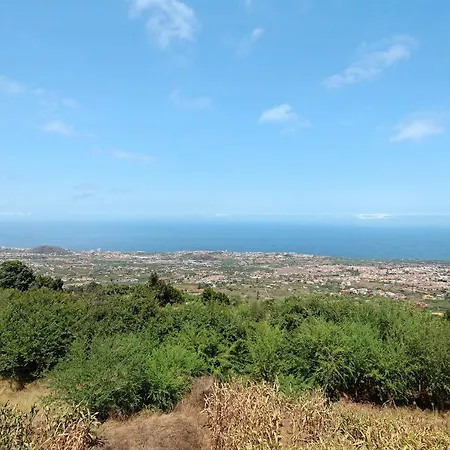 House Vochozka La Orotava