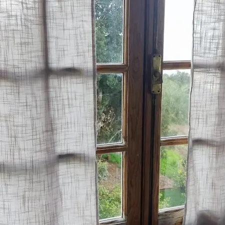 House Vochozka 3* La Orotava