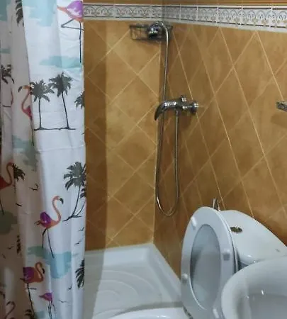 House Vochozka *